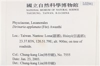 扁平黑囊基衣藏品圖，第2張