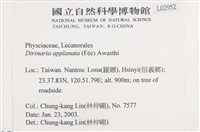 扁平黑囊基衣藏品圖，第2張