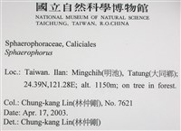 登錄號:L00002980藏品圖，第2張