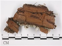 登錄號:L00002980藏品圖，第3張