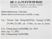 台灣球粉衣藏品圖，第2張