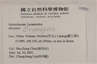 登錄號:L00003023藏品圖，第2張