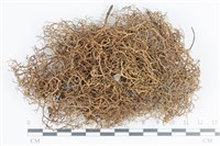 登錄號:L00003023藏品圖，第1張