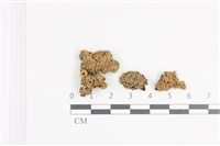 登錄號:L00003078藏品圖，第1張