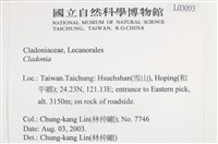 登錄號:L00003093藏品圖，第2張