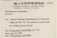 館號:L00003104藏品圖，第2張