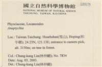 登錄號:L00003175藏品圖，第2張
