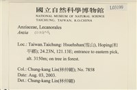 登錄號:L00003199藏品圖，第2張