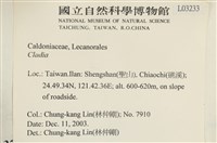 登錄號:L00003233藏品圖，第2張