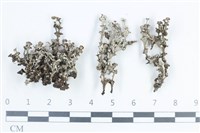 登錄號:L00003234藏品圖，第1張