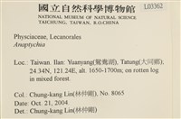 登錄號:L00003362藏品圖，第2張