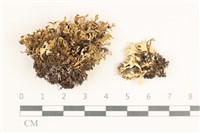 登錄號:L00003362藏品圖，第1張