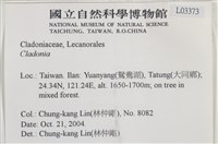登錄號:L00003373藏品圖，第2張