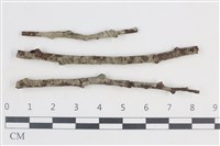 登錄號:L00003422藏品圖，第1張