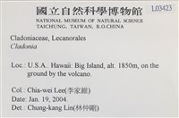 登錄號:L00003423藏品圖，第2張