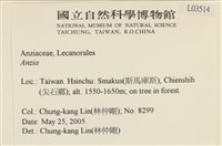 登錄號:L00003514藏品圖，第2張