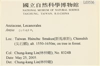 登錄號:L00003536藏品圖，第2張