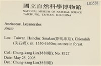 登錄號:L00003538藏品圖，第2張