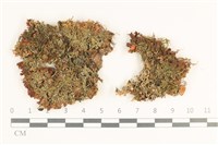 登錄號:L00003615藏品圖，第1張