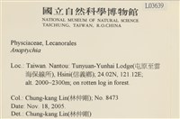 登錄號:L00003639藏品圖，第2張