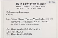 登錄號:L00003677藏品圖，第2張