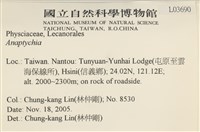 登錄號:L00003690藏品圖，第2張