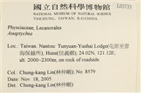 登錄號:L00003733藏品圖，第2張