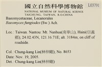 登錄號:L00003791藏品圖，第2張
