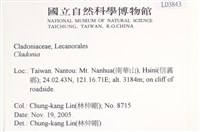 登錄號:L00003843藏品圖，第2張