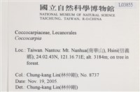 登錄號:L00003855藏品圖，第2張