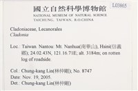 登錄號:L00003865藏品圖，第2張