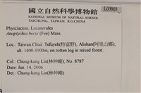 登錄號:L00003903藏品圖，第2張