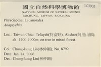 登錄號:L00003905藏品圖，第2張