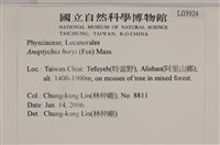 登錄號:L00003924藏品圖，第2張