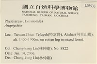 館號:L00003933藏品圖，第2張