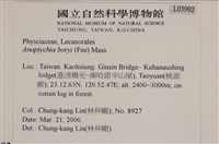 登錄號:L00003992藏品圖，第2張