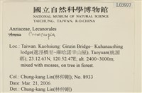 登錄號:L00003997藏品圖，第2張