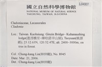 登錄號:L00004007藏品圖，第2張