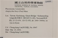 登錄號:L00004009藏品圖，第2張