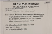 登錄號:L00004016藏品圖，第2張