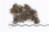 登錄號:L00004016藏品圖，第1張