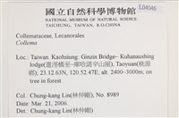 登錄號:L00004046藏品圖，第2張