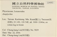 登錄號:L00004082藏品圖，第2張