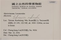 登錄號:L00004087藏品圖，第2張