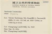 登錄號:L00004097藏品圖，第2張