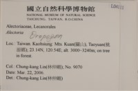 登錄號:L00004111藏品圖，第2張