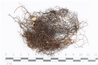 登錄號:L00004111藏品圖，第1張