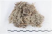 登錄號:L00004113藏品圖，第1張