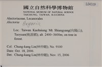 登錄號:L00004319藏品圖，第2張