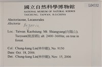 登錄號:L00004332藏品圖，第2張